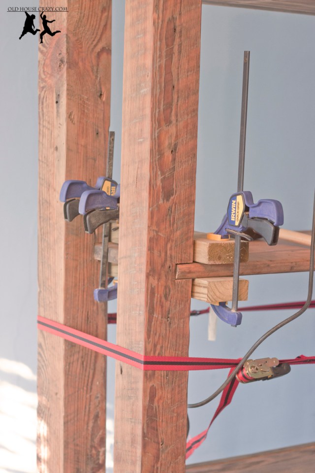 One Shelf Needed Convincing