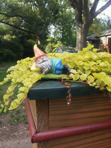 2012-05-20 18.33.15.jpg image