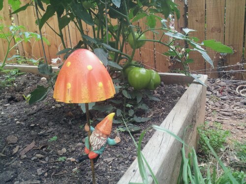 2012-05-20 18.35.25.jpg image