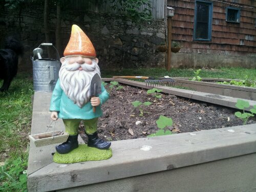 2012-05-20 18.37.17.jpg image