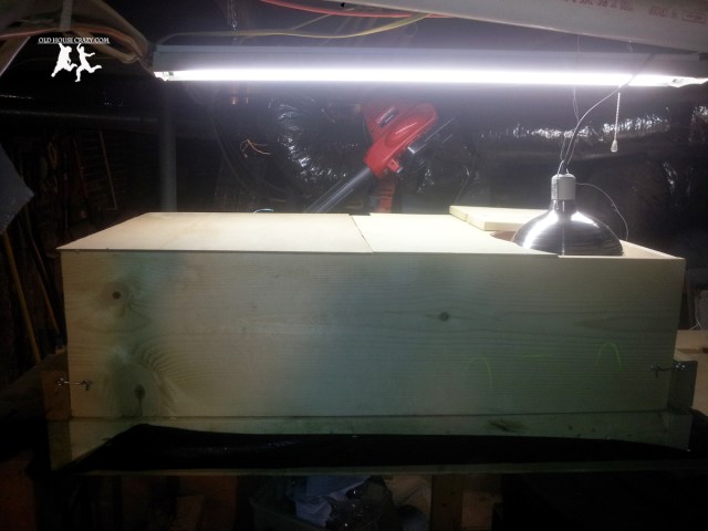 Old House Crazy - DIY - Raising Chickens - Baby Chicks - 13